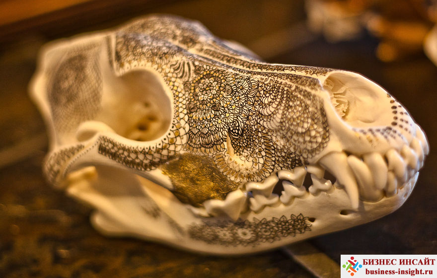 Декоративный череп с золотой мандалой Шаши волк