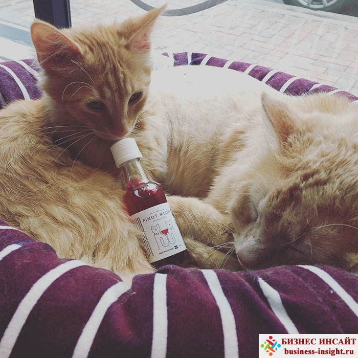 Специальное вино для кошек и котов