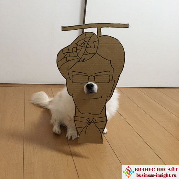 Японская женщина создает забавные фотосессии со своей собачкой