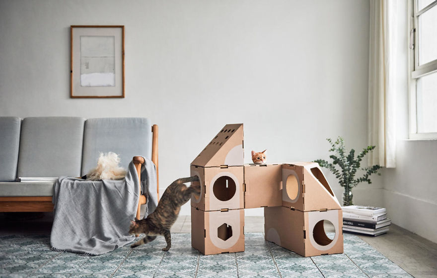 Модульный картонный лабиринт для кошек