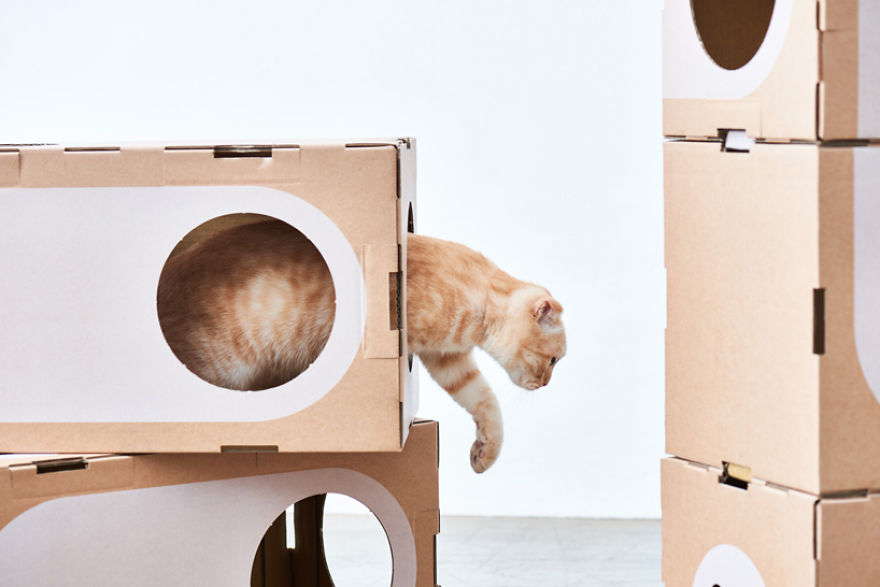 Модульный картонный лабиринт для кошек